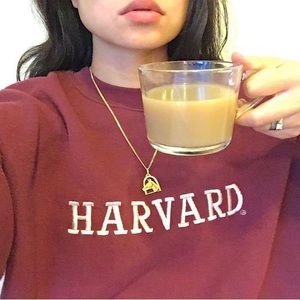 Vintage Harvard sweat shirt pullover